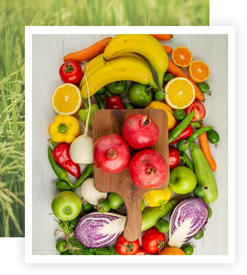 About Amaira Exports