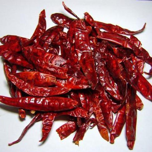 Chili-Pepper