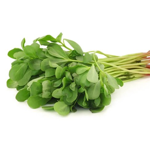 Common Purslane / Parippu Keerai