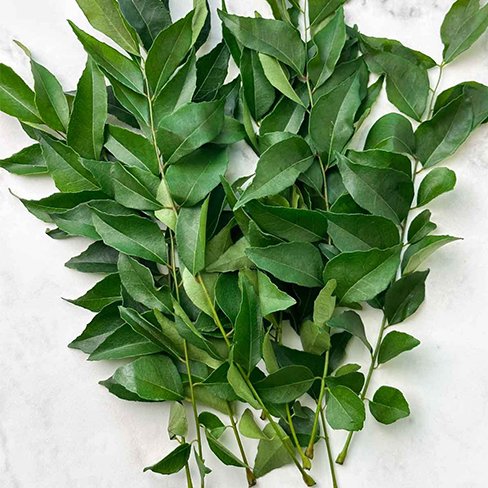 Curry Leaves