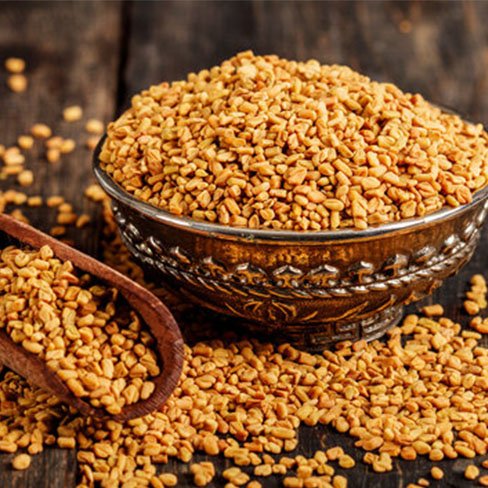 Fenugreek