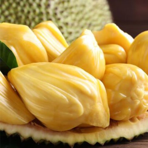 Jackfruit