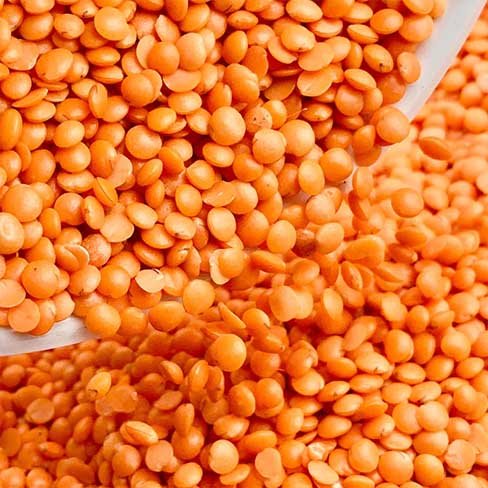 Masoor Dal / Red Lentil