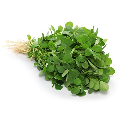 Methi / FenuGreek