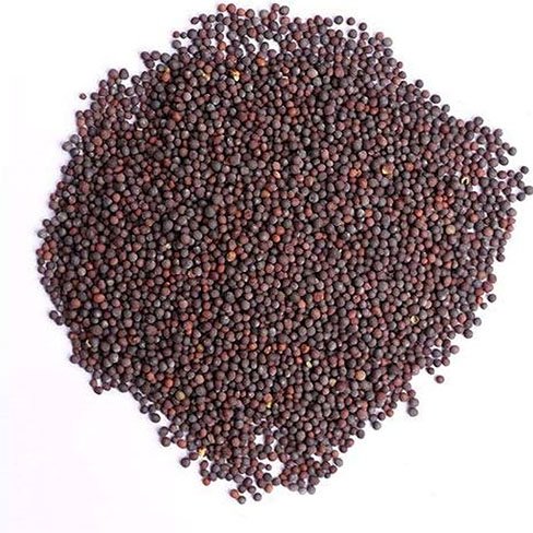 Mustard seeds