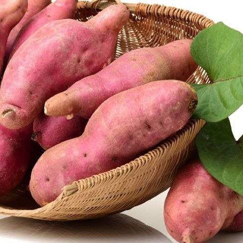 Sweet Potato