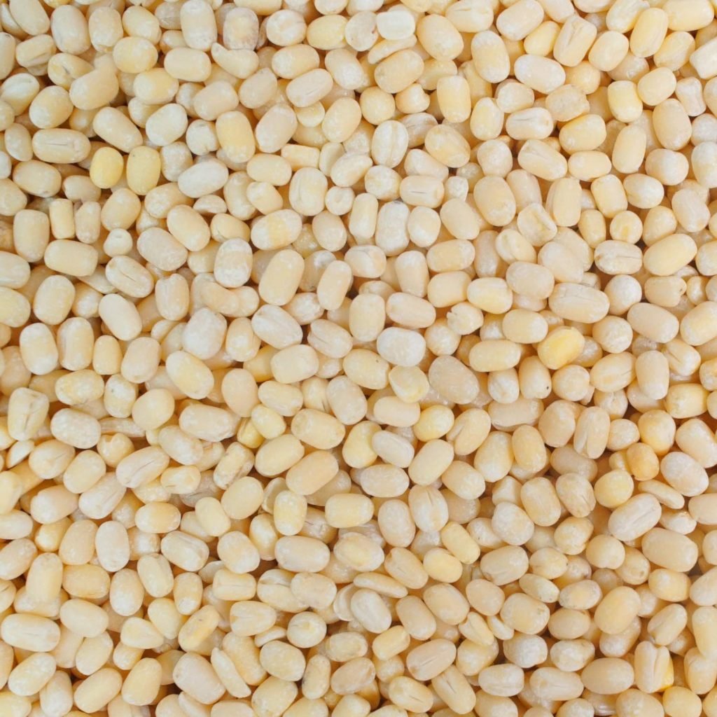 Urad Dal Gota