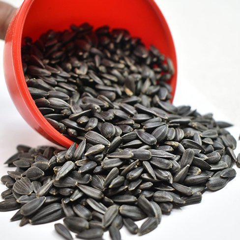 sunflower seeds
